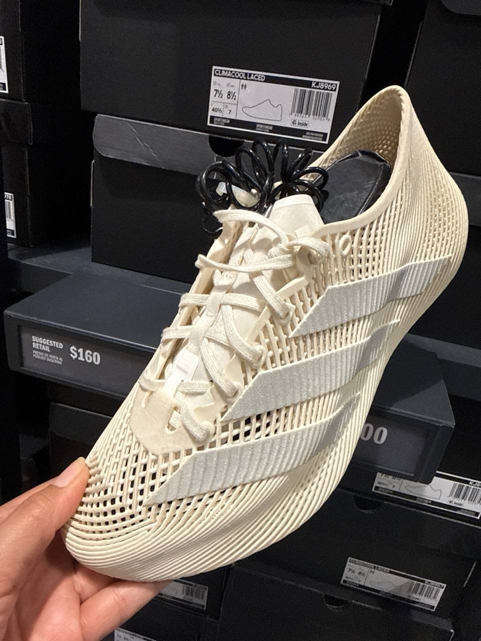Tenis  número Americano