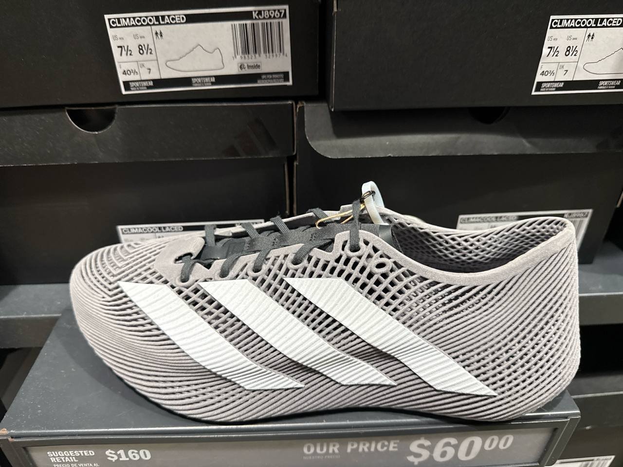 Tenis  número Americano