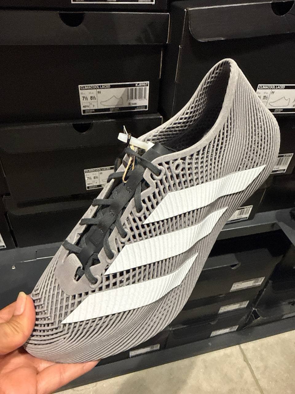Tenis  número Americano