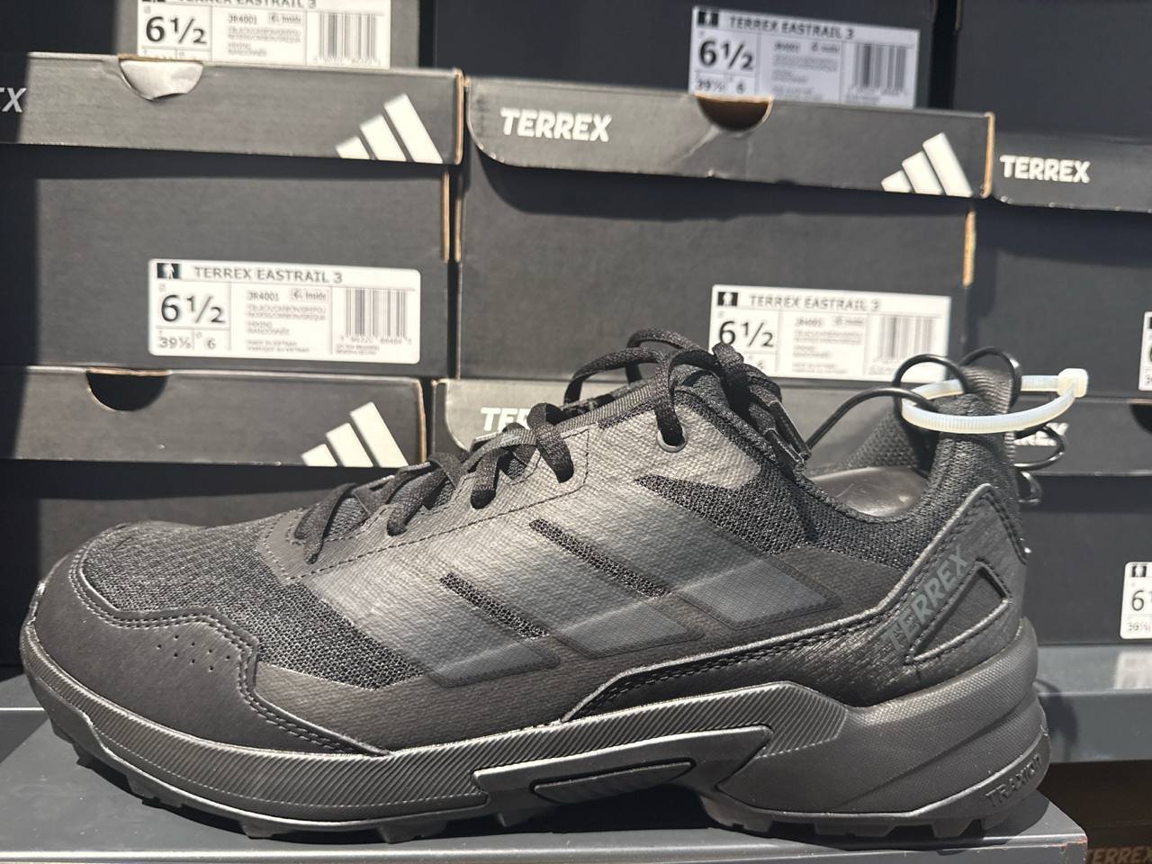 Tenis  número Americano