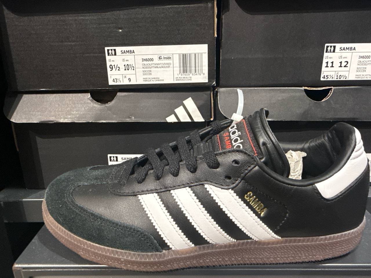 Tenis  número Americano