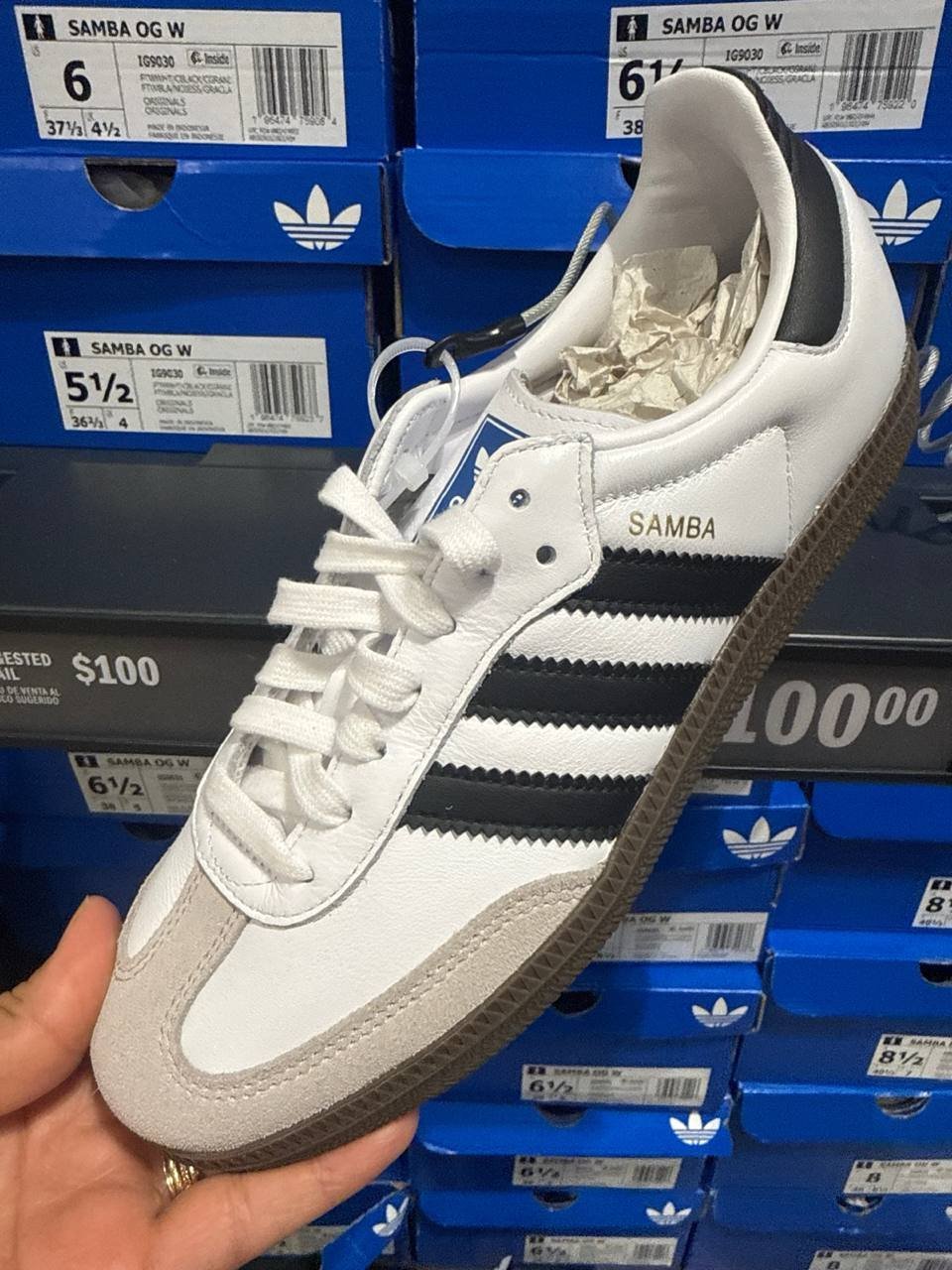 Tenis  número Americano