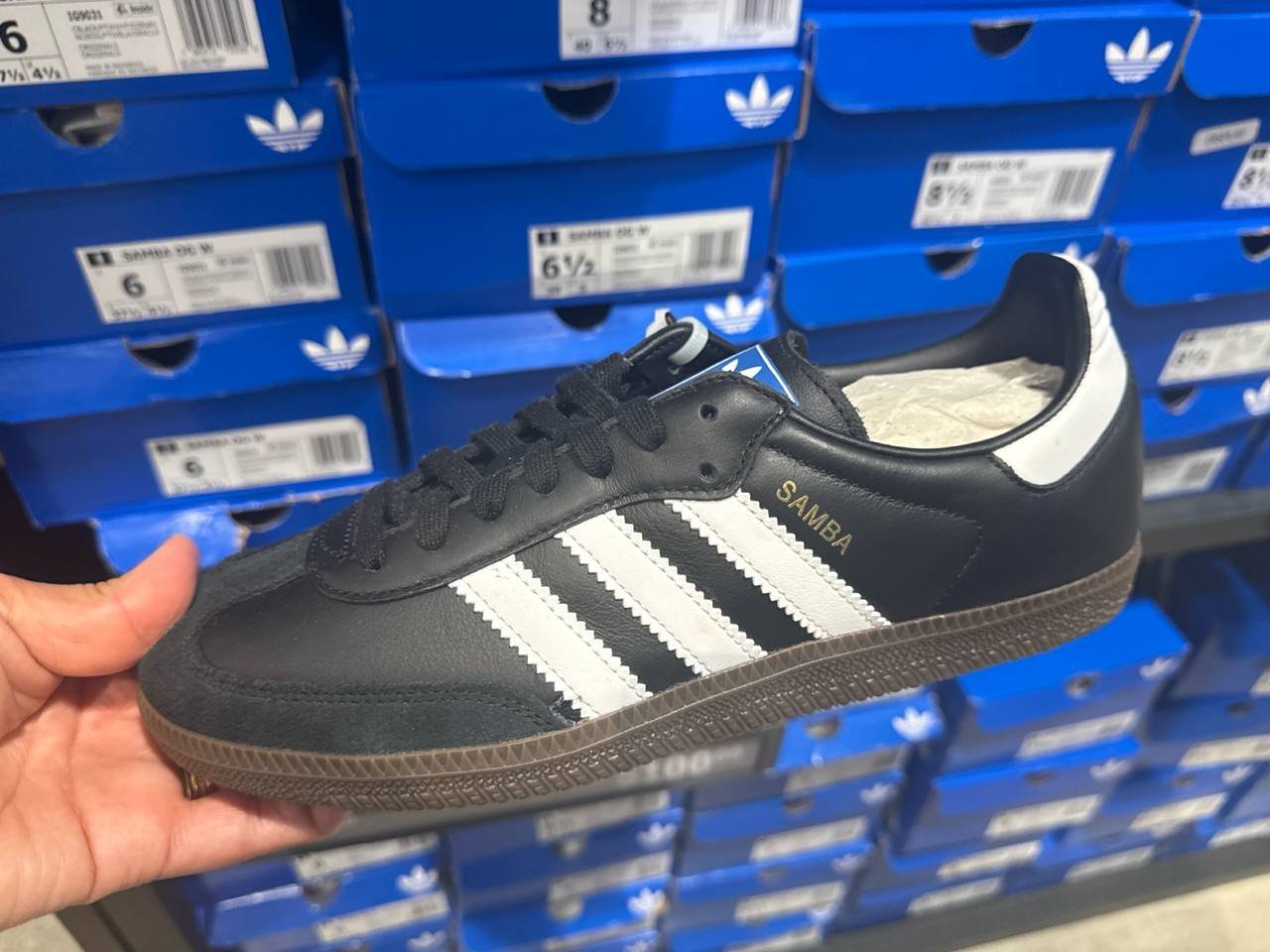 Tenis  número Americano