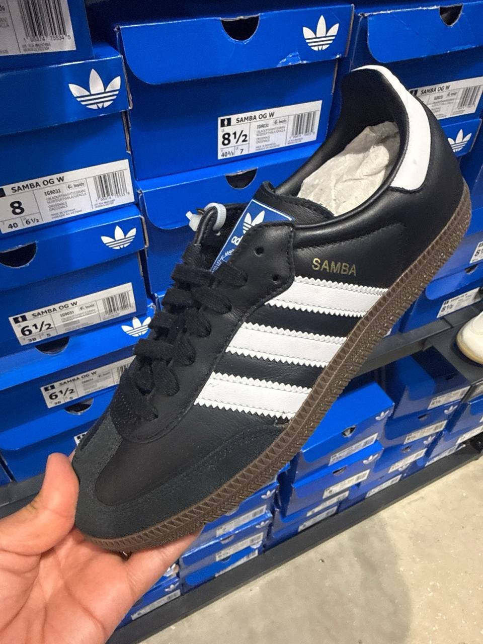 Tenis  número Americano