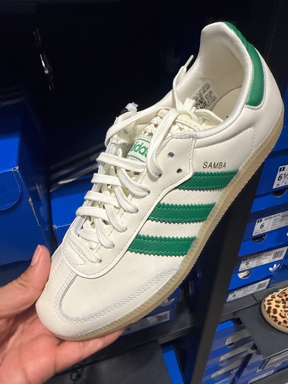 Tenis  número Americano