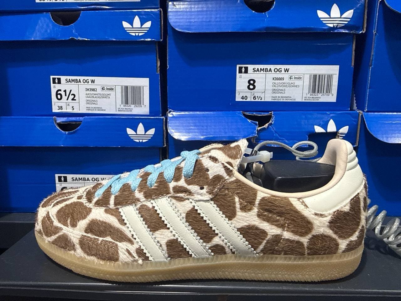 Tenis  número Americano