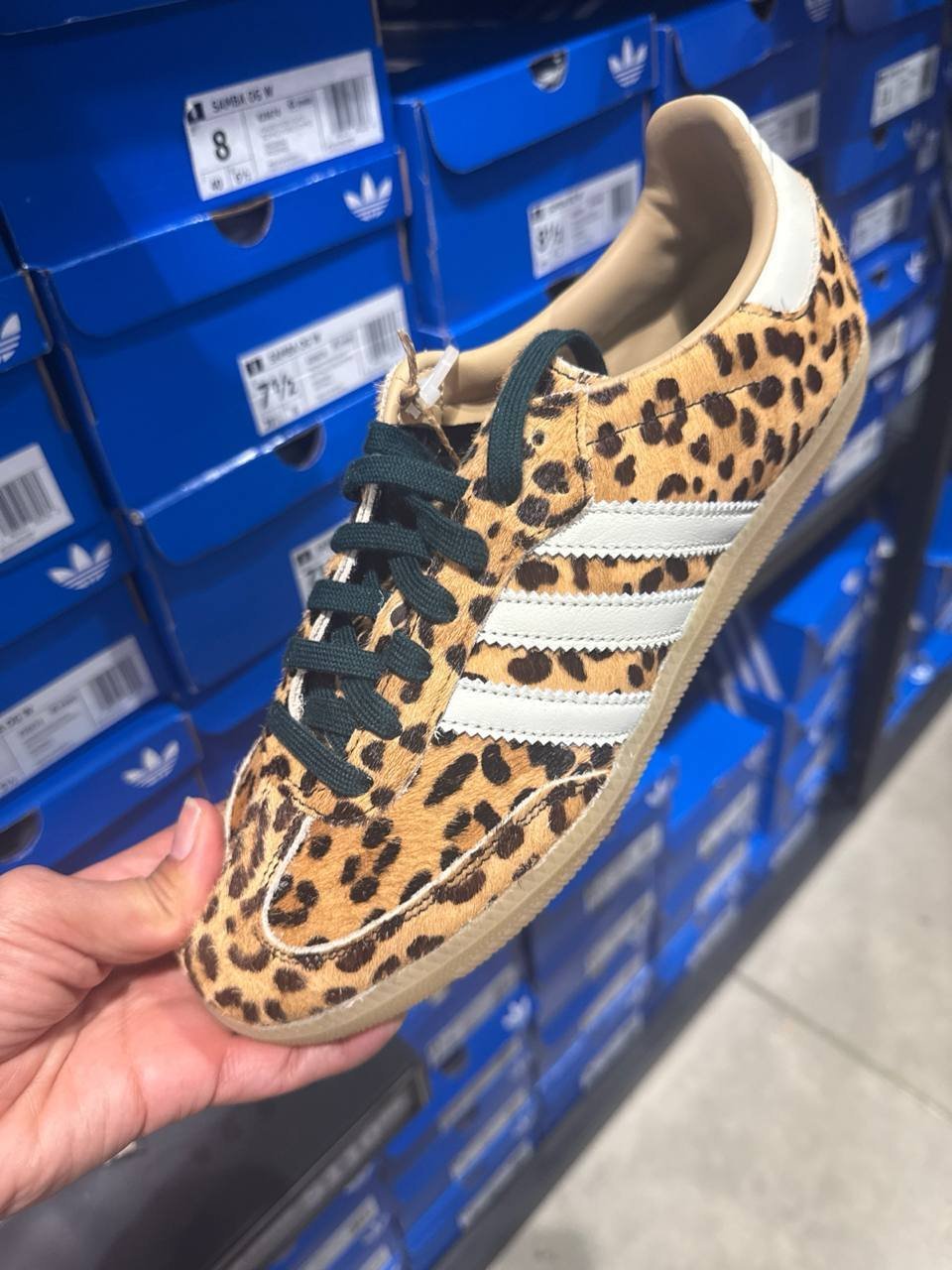 Tenis  número Americano