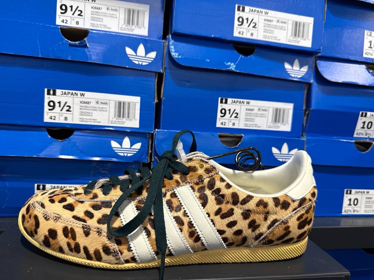 Tenis  número Americano