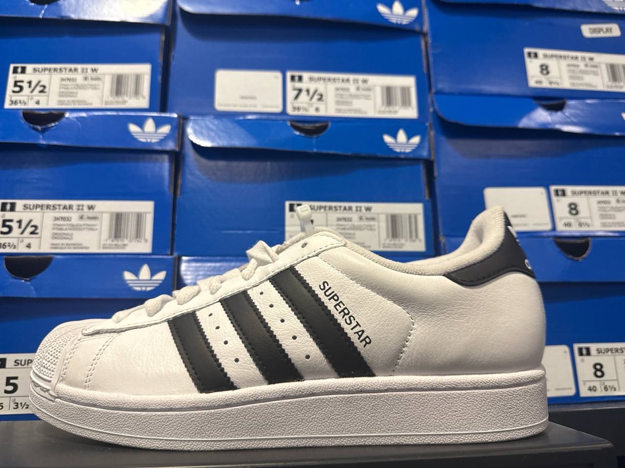 Tenis  número Americano