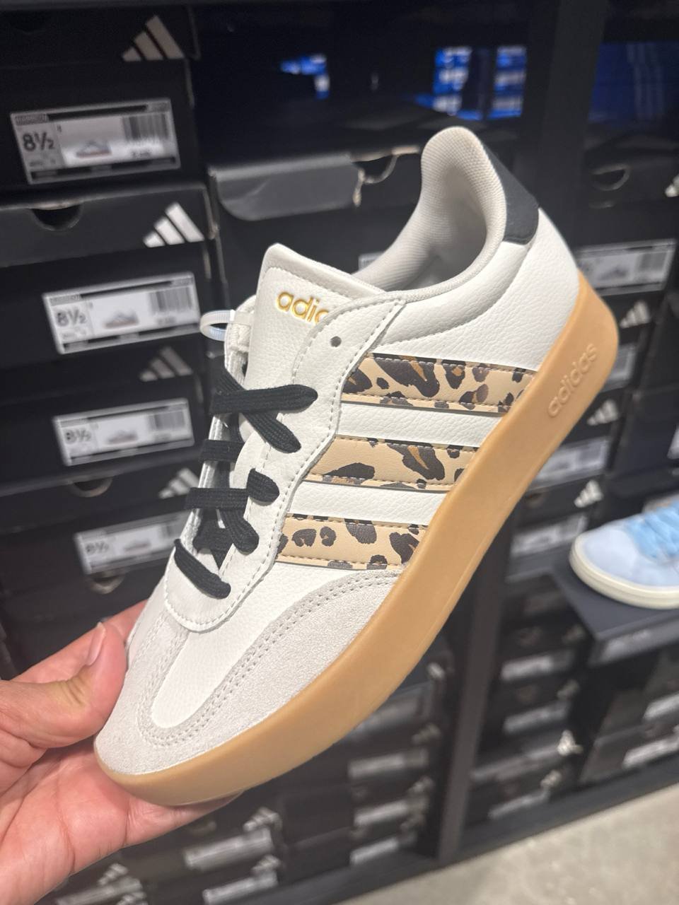 Tenis  número Americano