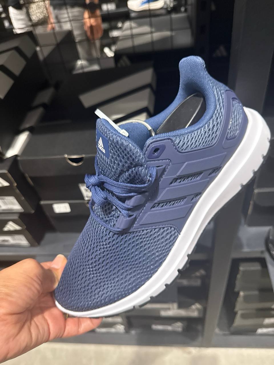 Tenis  número Americano