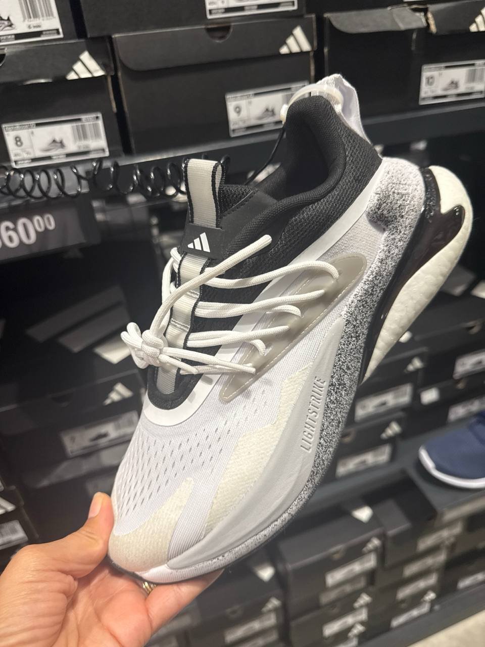 Tenis  número Americano