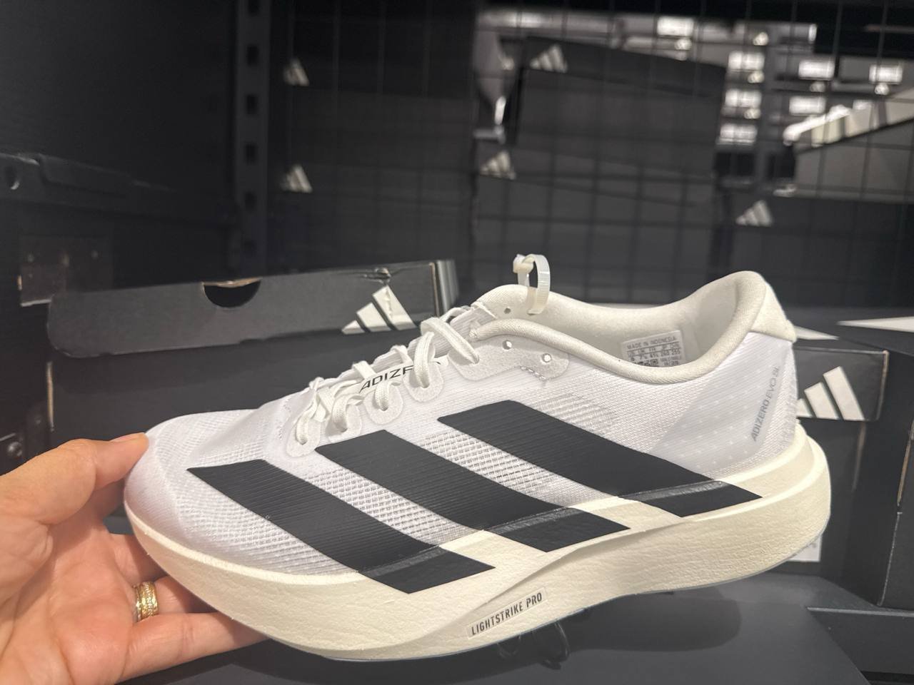 Tenis  número Americano