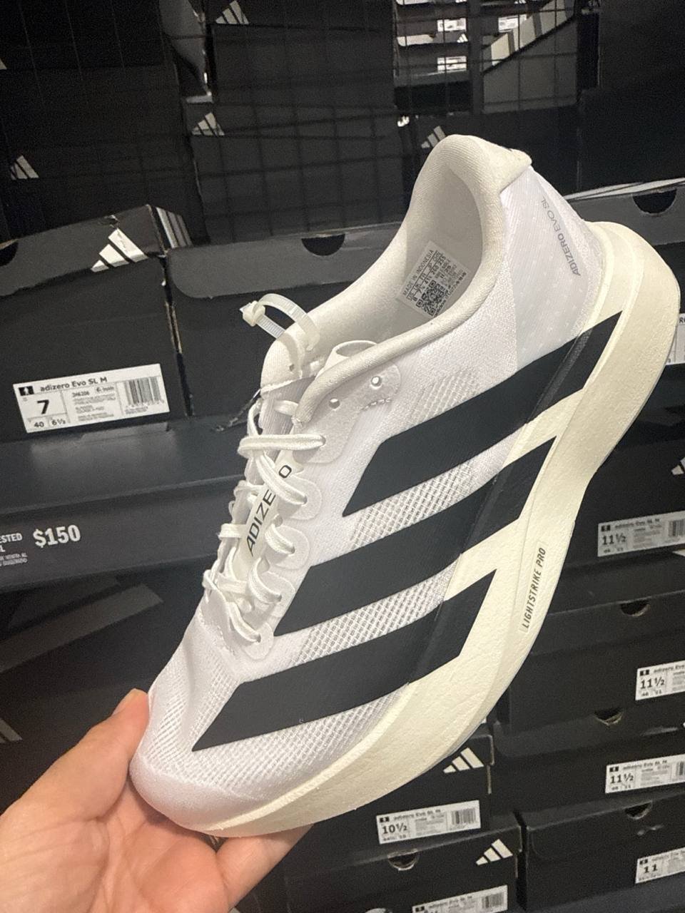 Tenis  número Americano