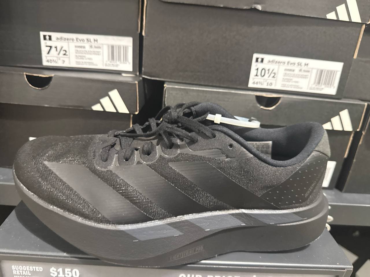 Tenis  número Americano