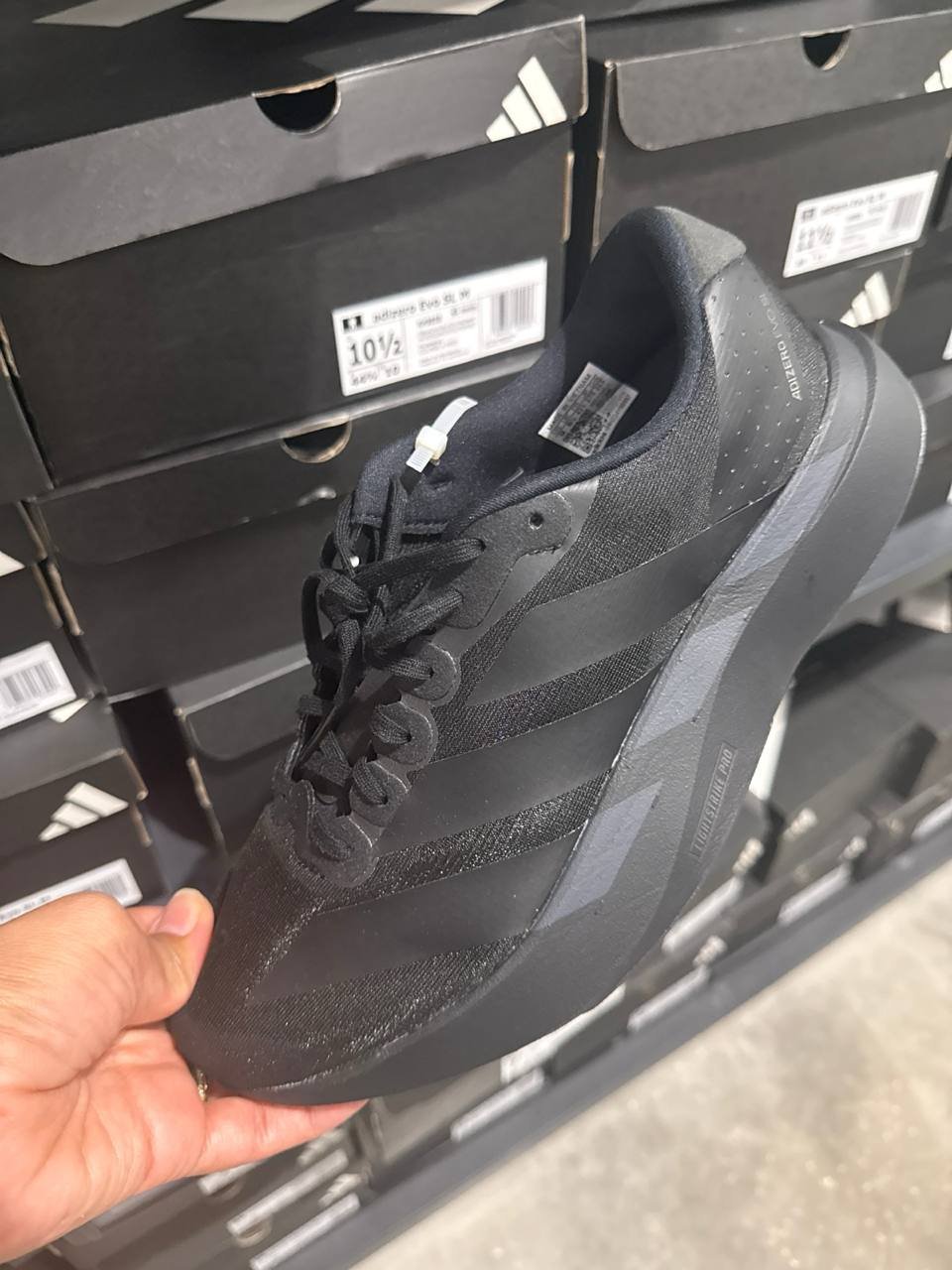 Tenis  número Americano