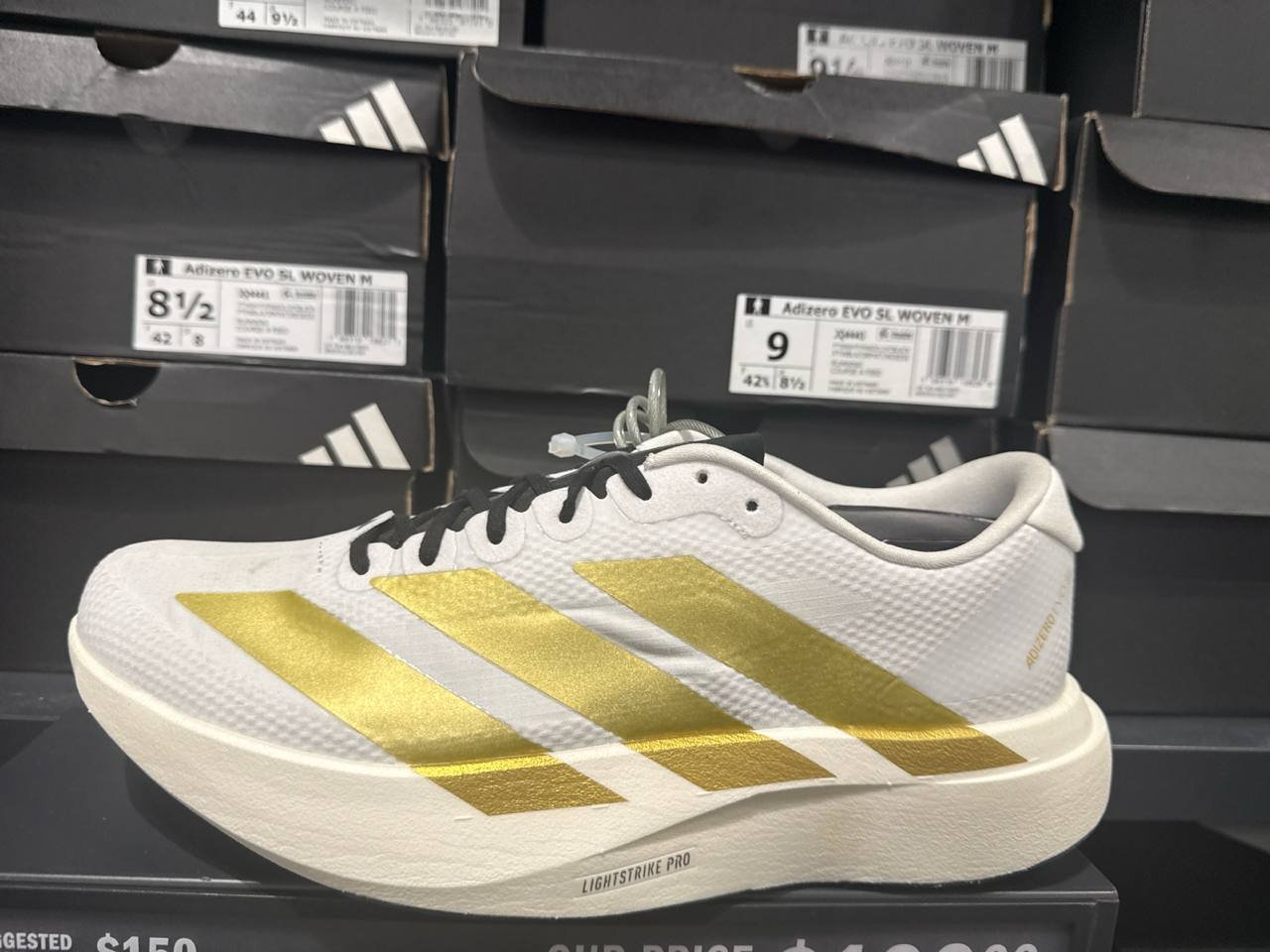 Tenis  número Americano