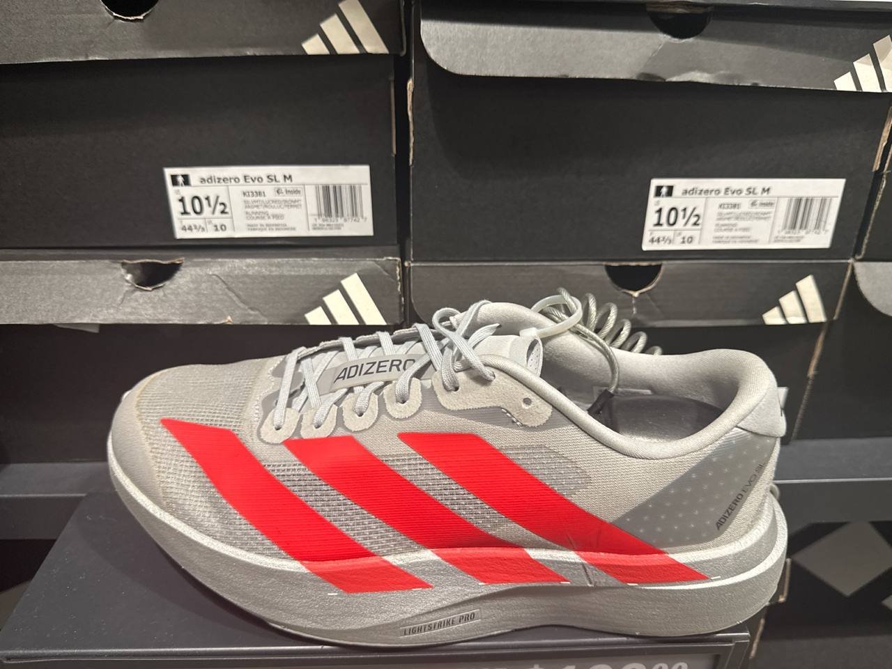 Tenis  número Americano