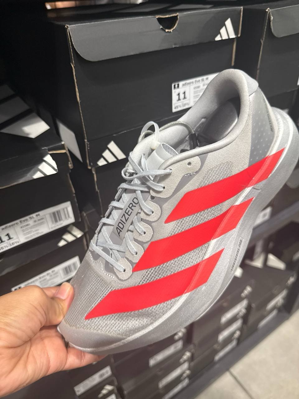 Tenis  número Americano
