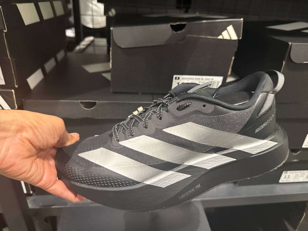 Tenis  número Americano