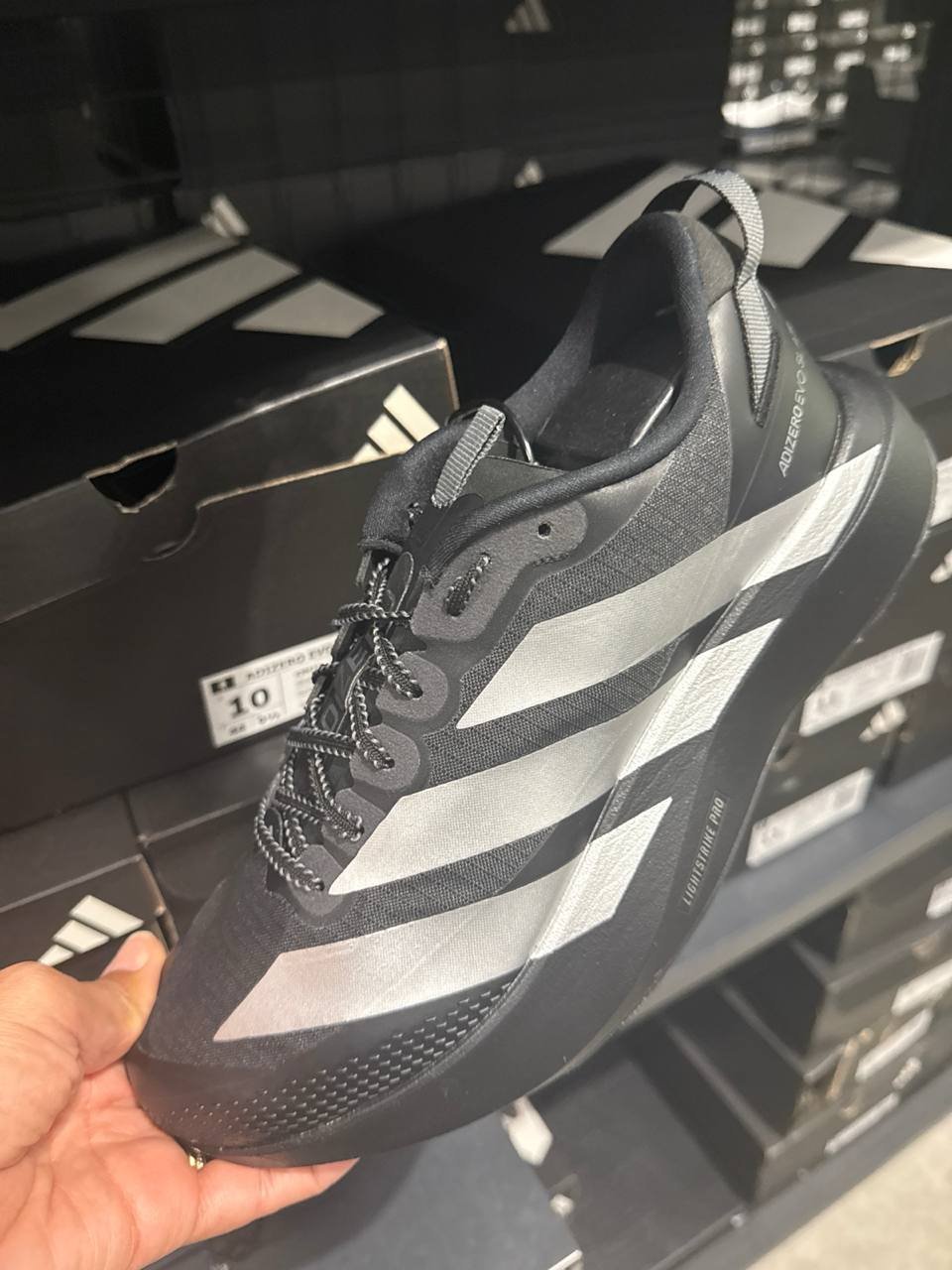 Tenis  número Americano