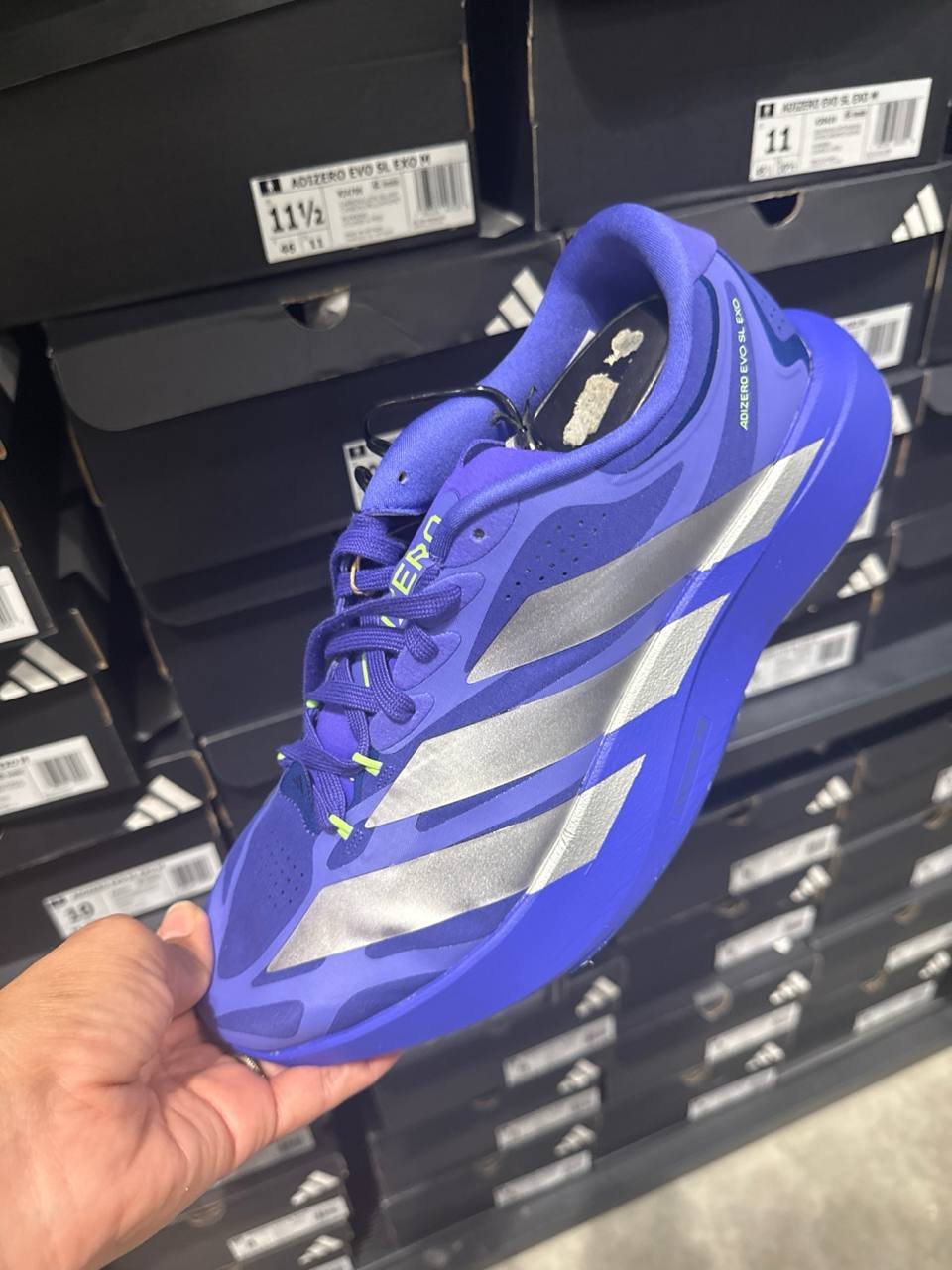 Tenis  número Americano