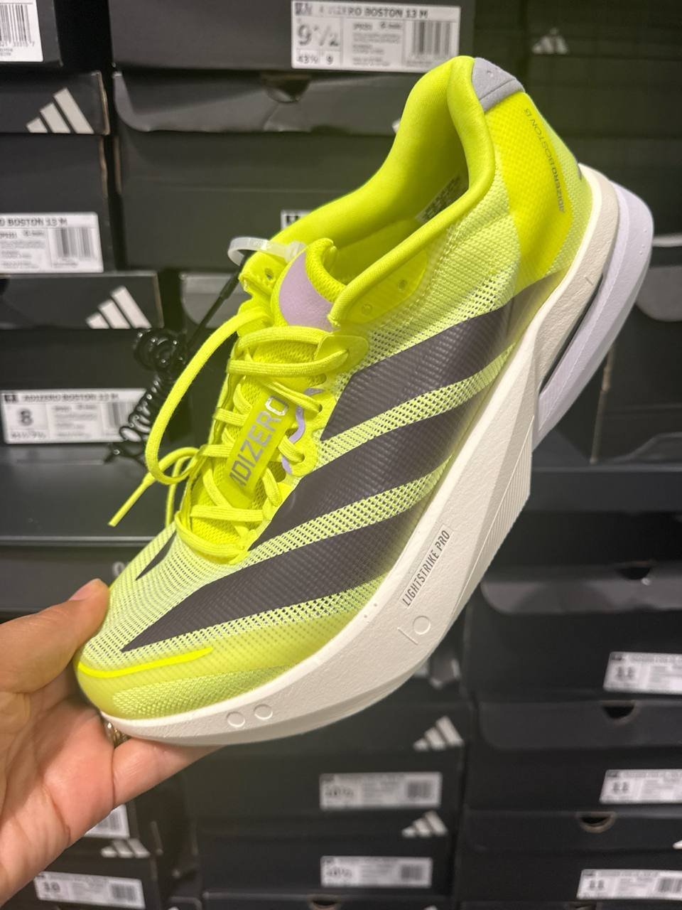Tenis  número Americano
