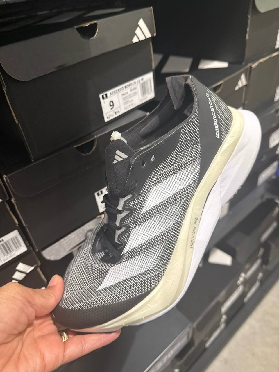 Tenis  número Americano
