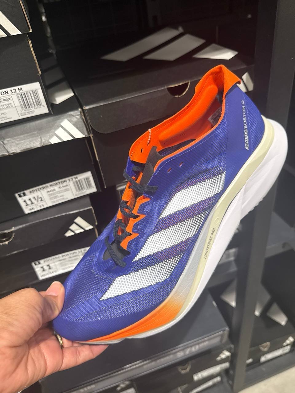 Tenis  número Americano