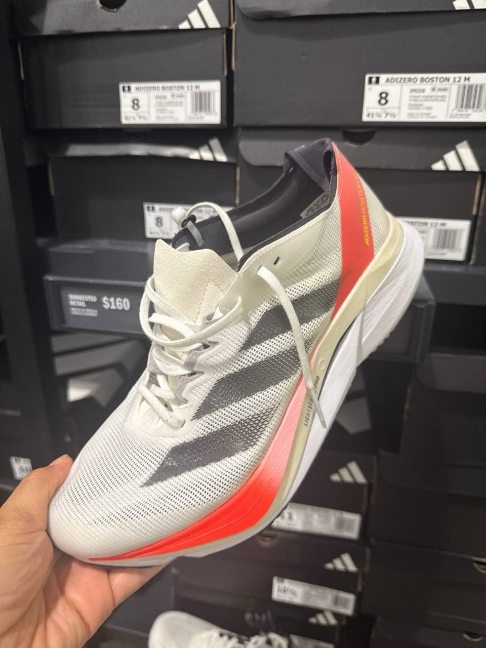 Tenis  número Americano