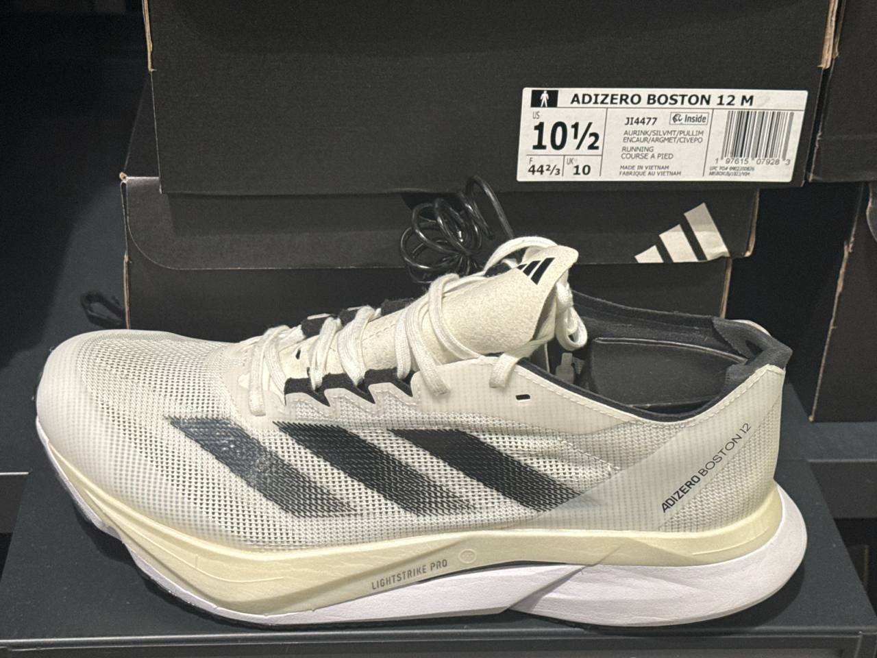 Tenis  número Americano