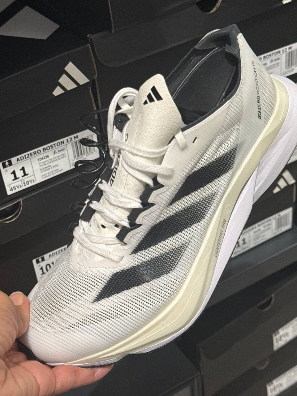 Tenis  número Americano