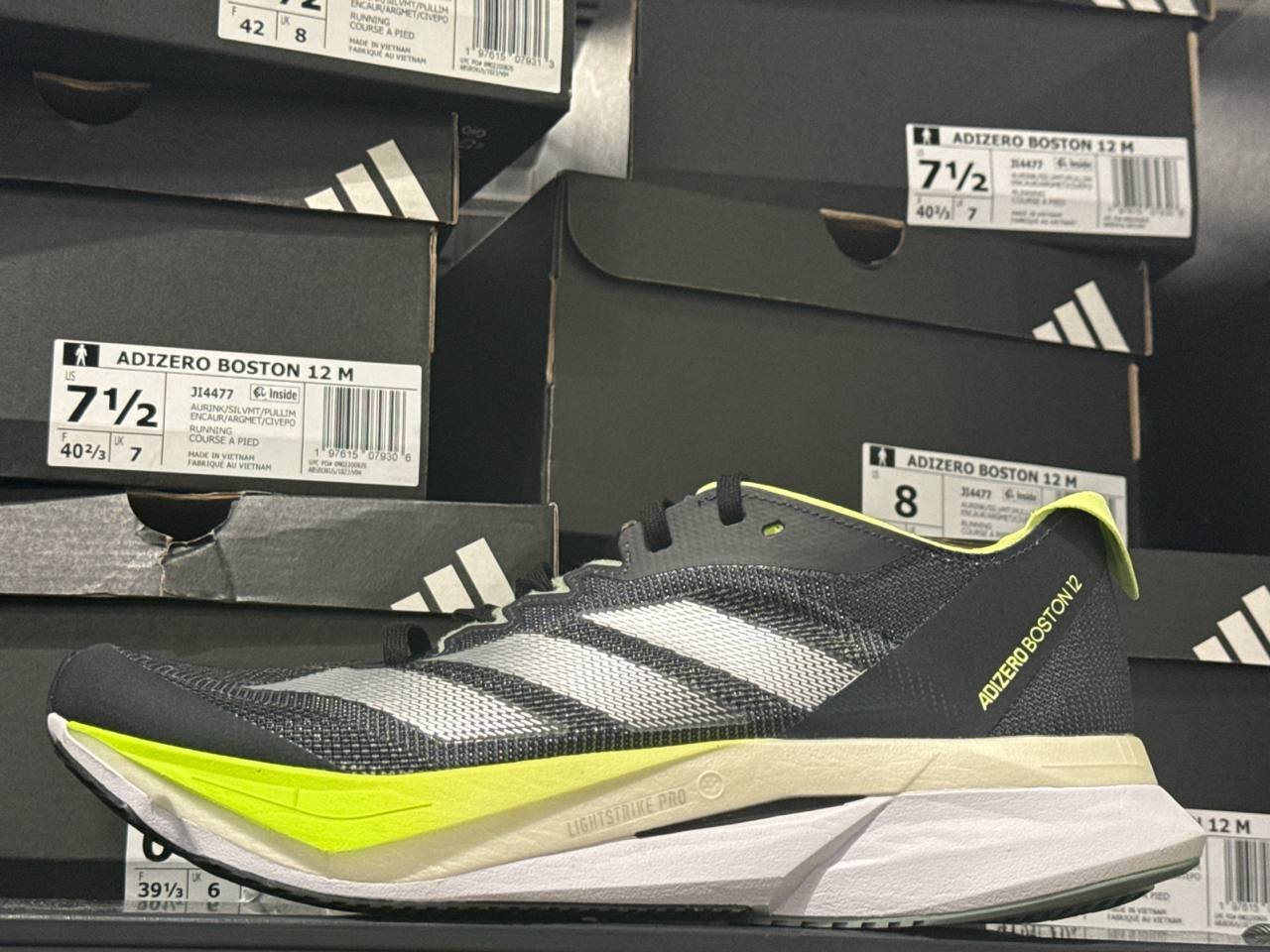 Tenis  número Americano