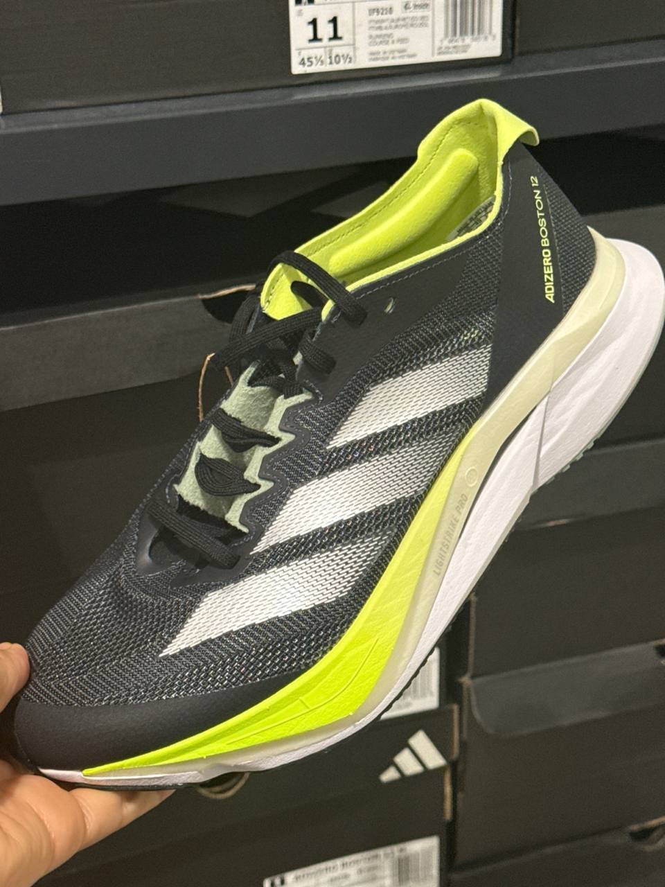 Tenis  número Americano