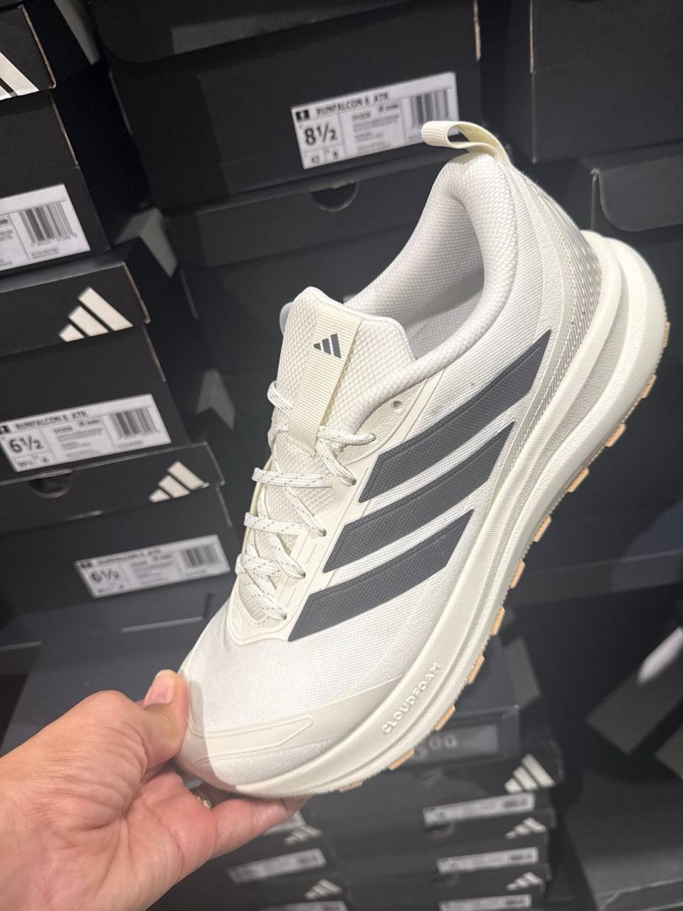Tenis  número Americano