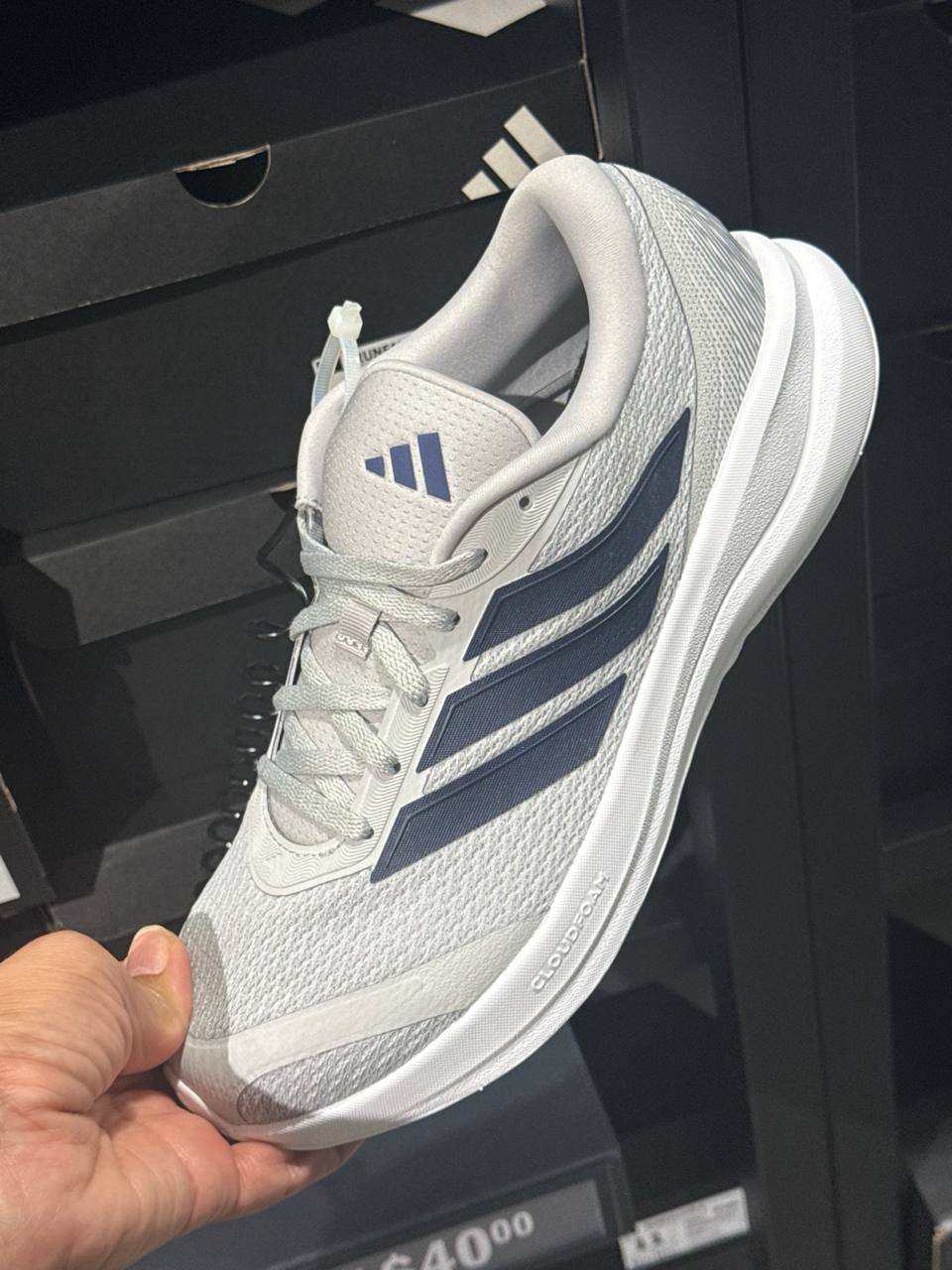 Tenis  número Americano