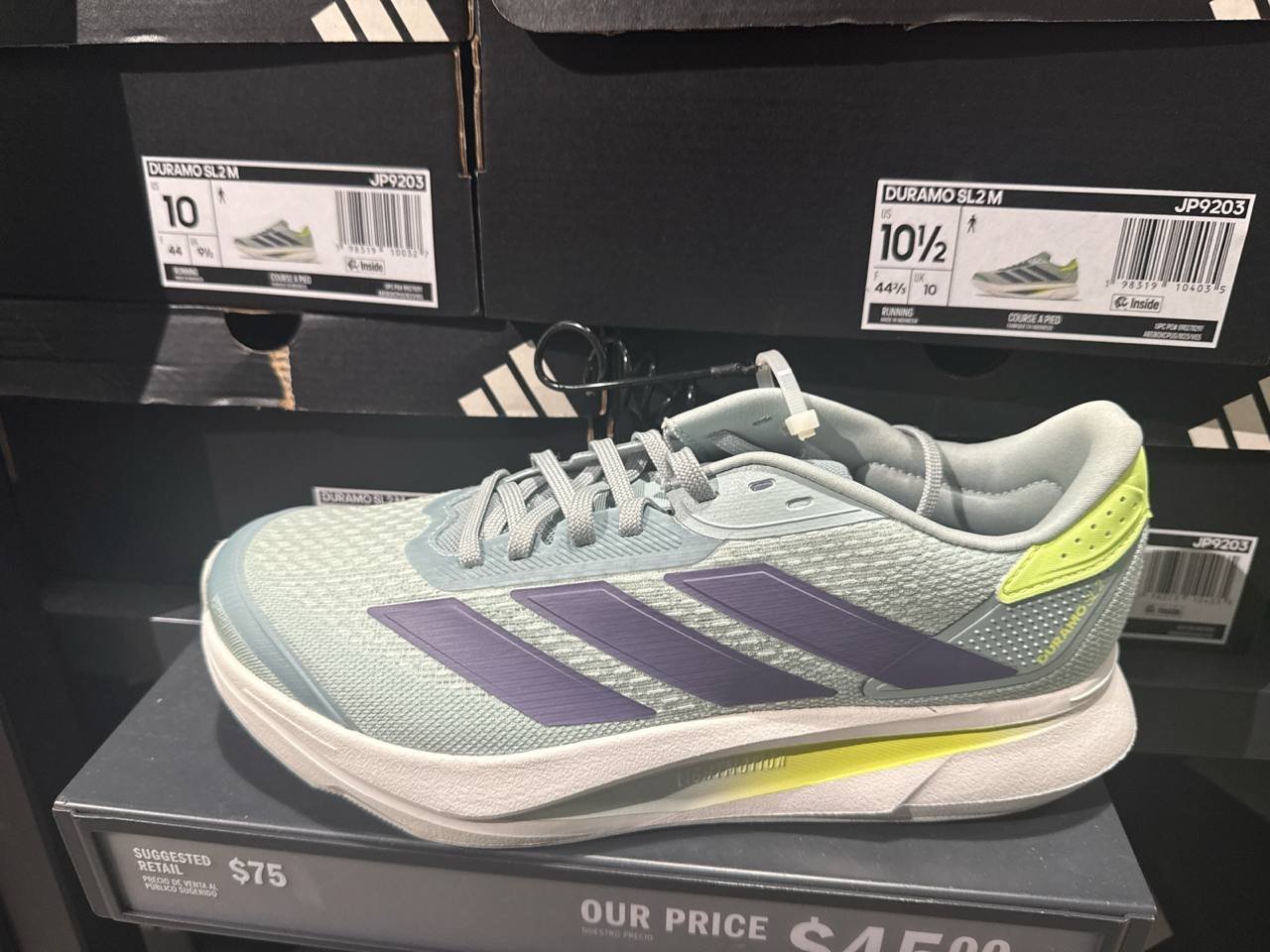 Tenis  número Americano