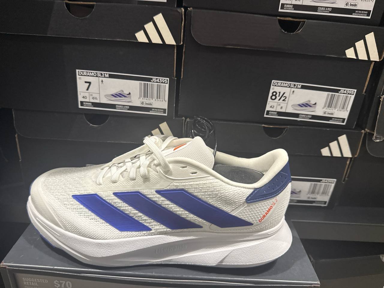 Tenis  número Americano