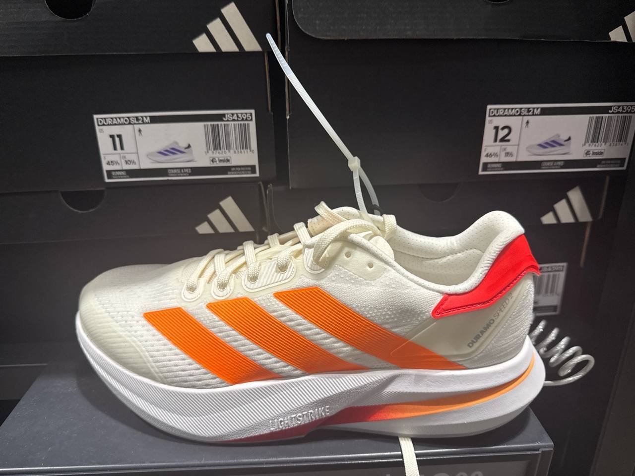 Tenis  número Americano