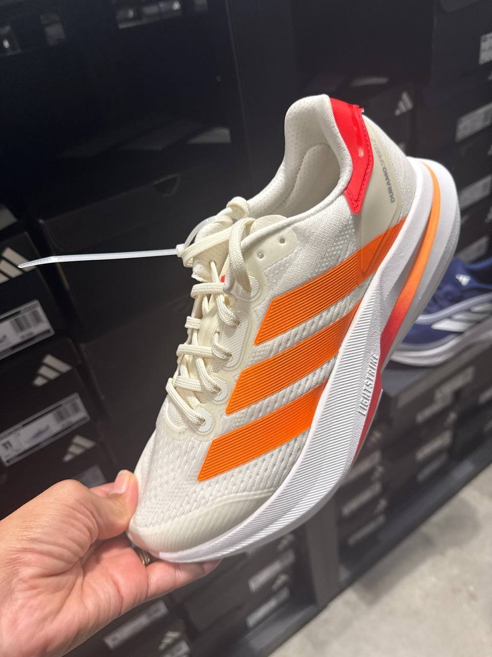 Tenis  número Americano