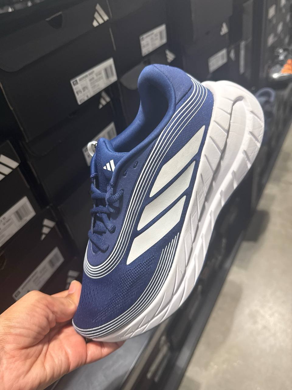 Tenis  número Americano