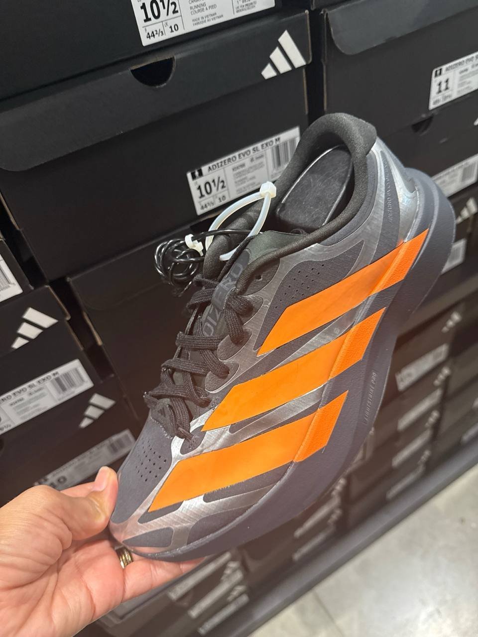 Tenis  número Americano
