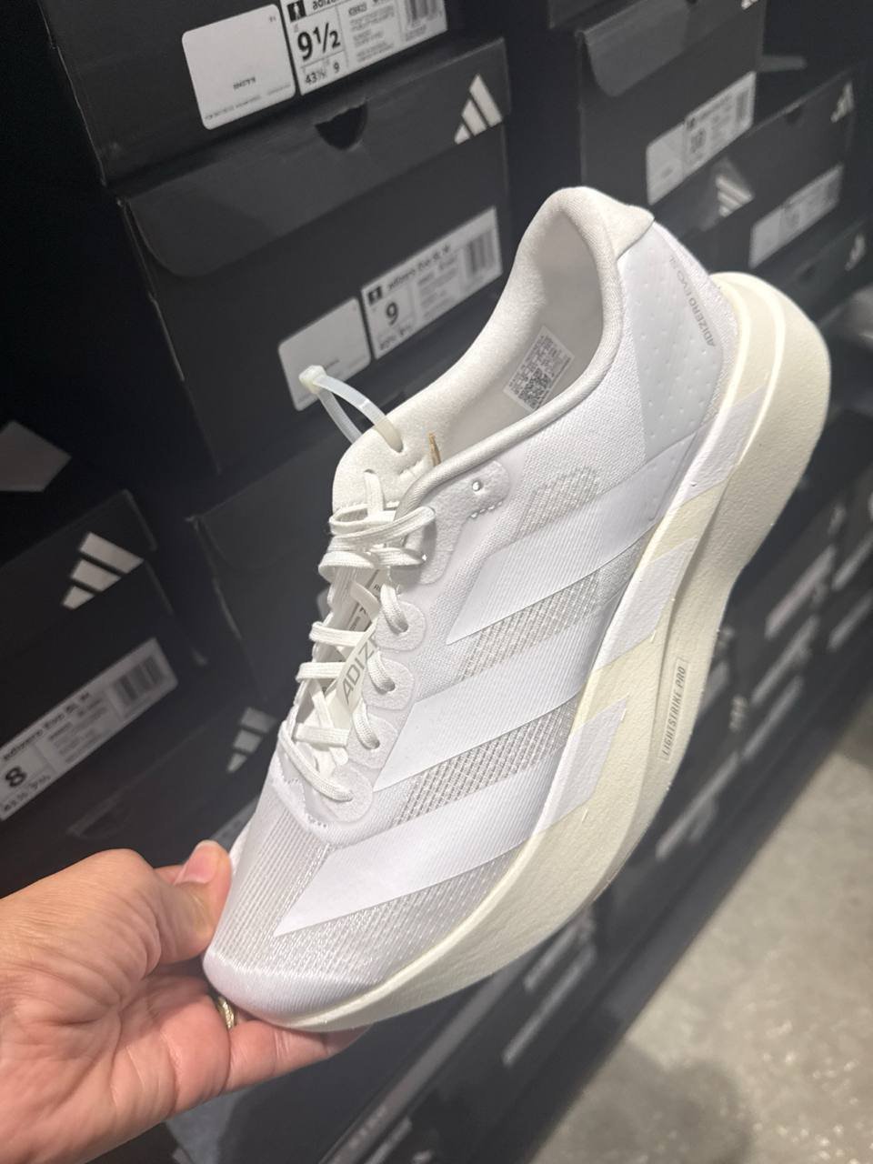 Tenis  número Americano