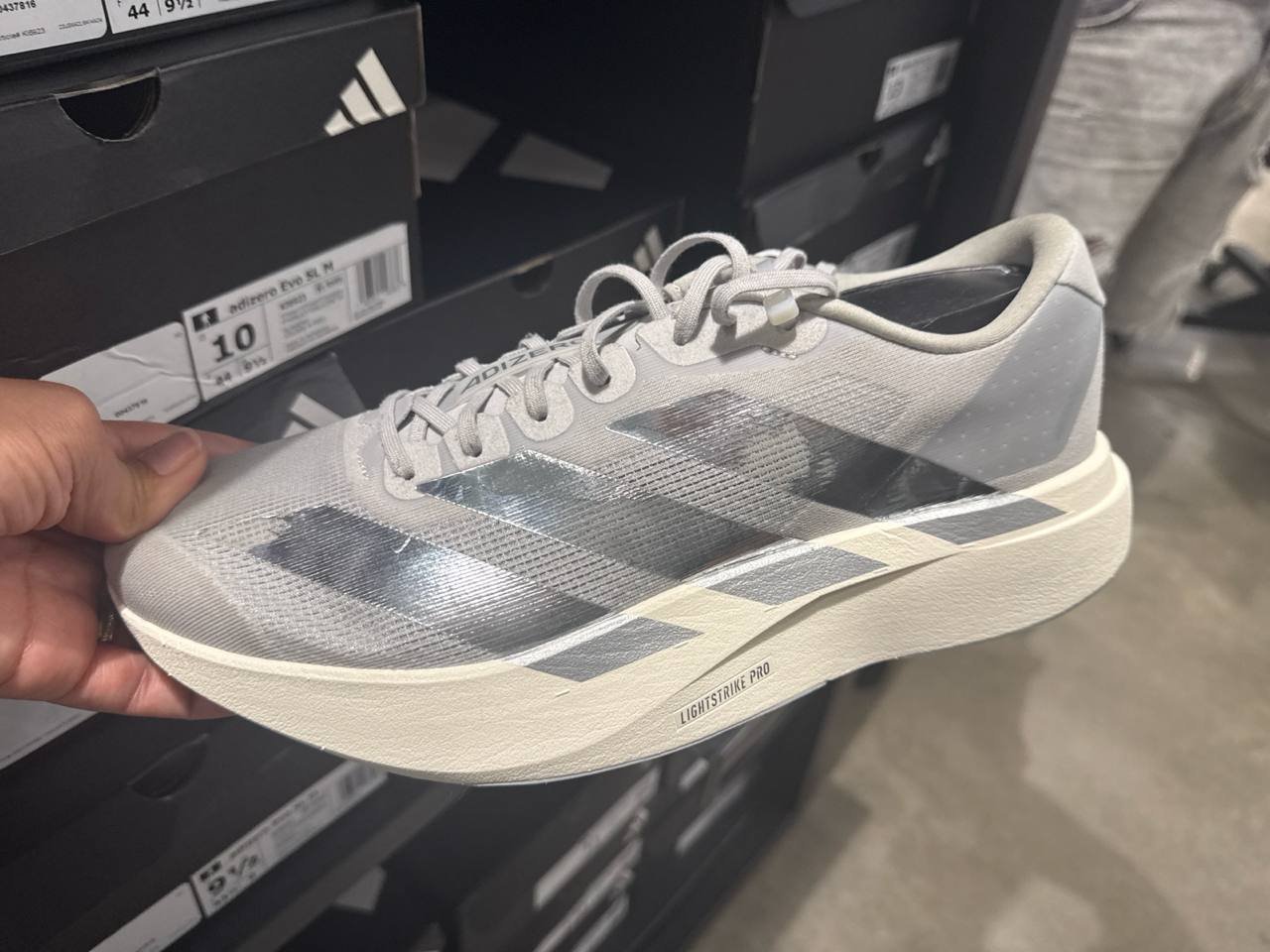 Tenis  número Americano