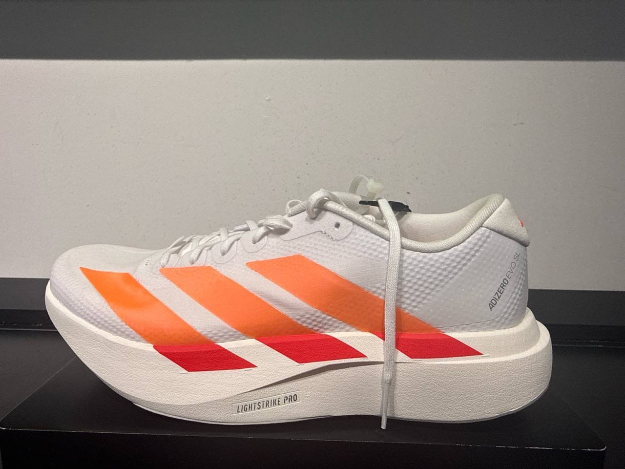 Tenis  número Americano
