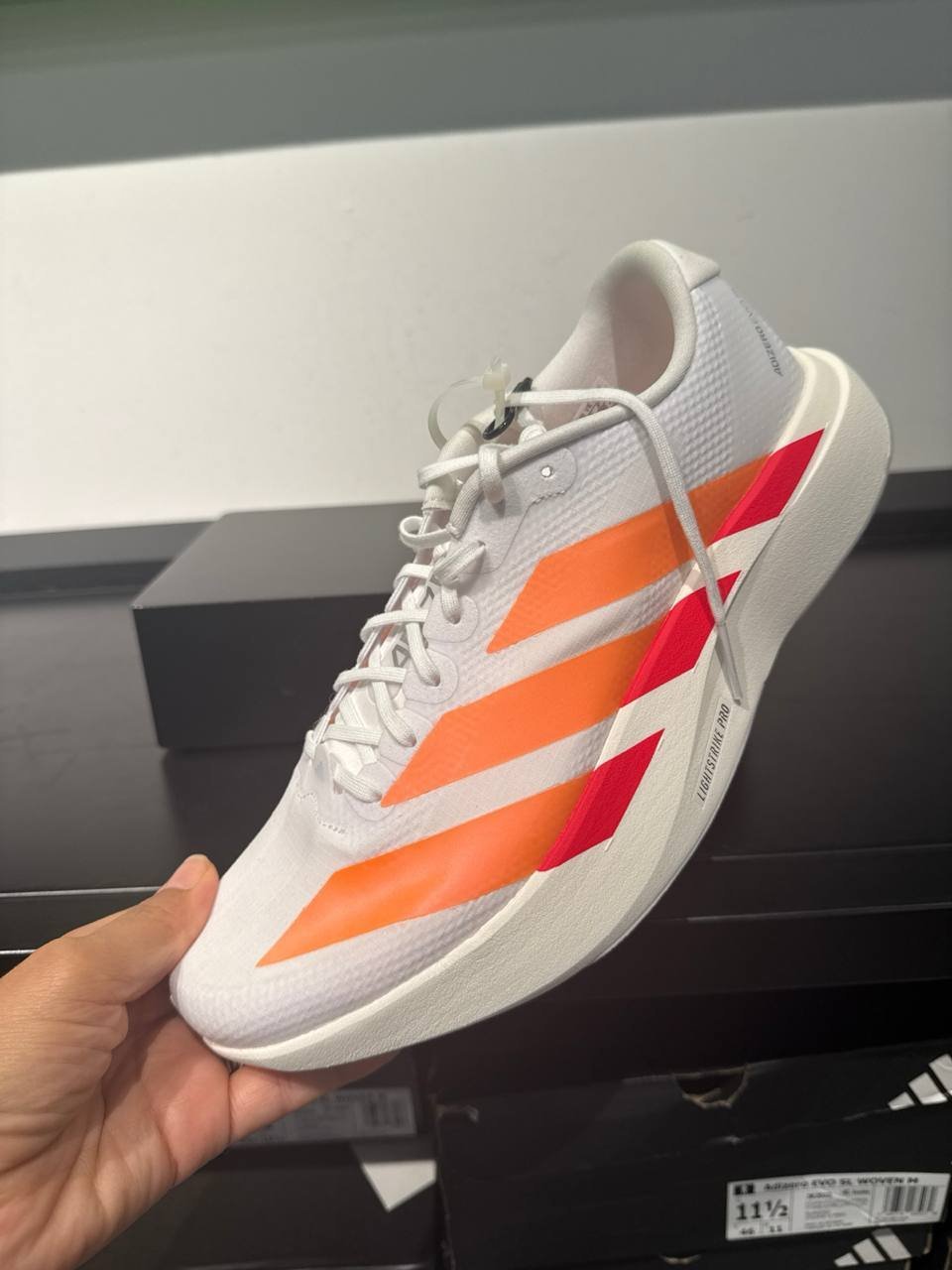 Tenis  número Americano