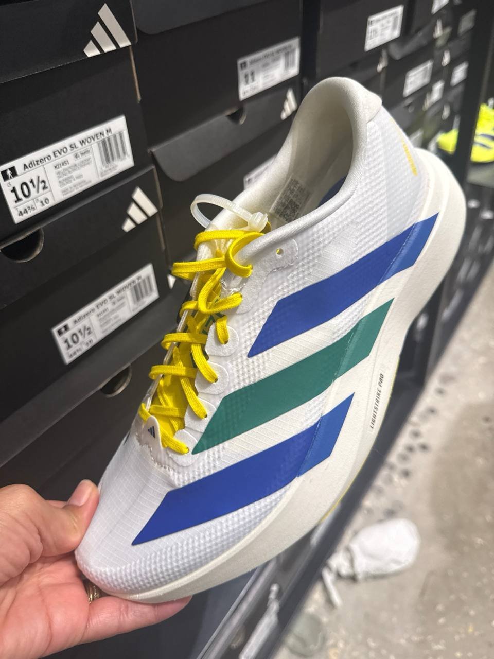 Tenis  número Americano