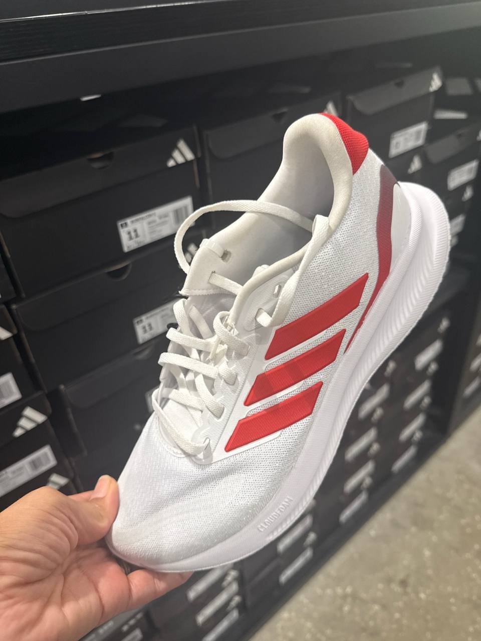 Tenis  número Americano
