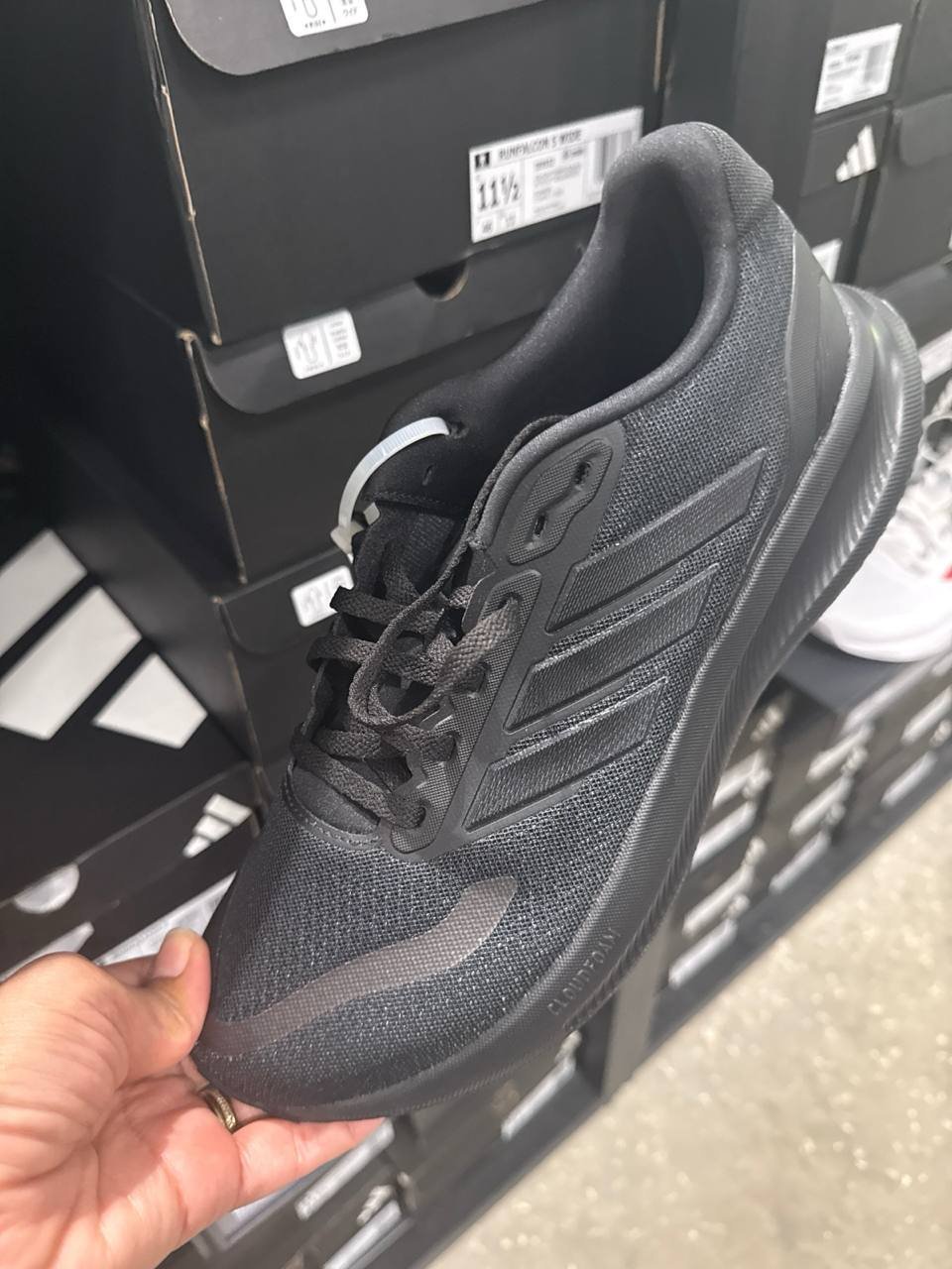 Tenis  número Americano