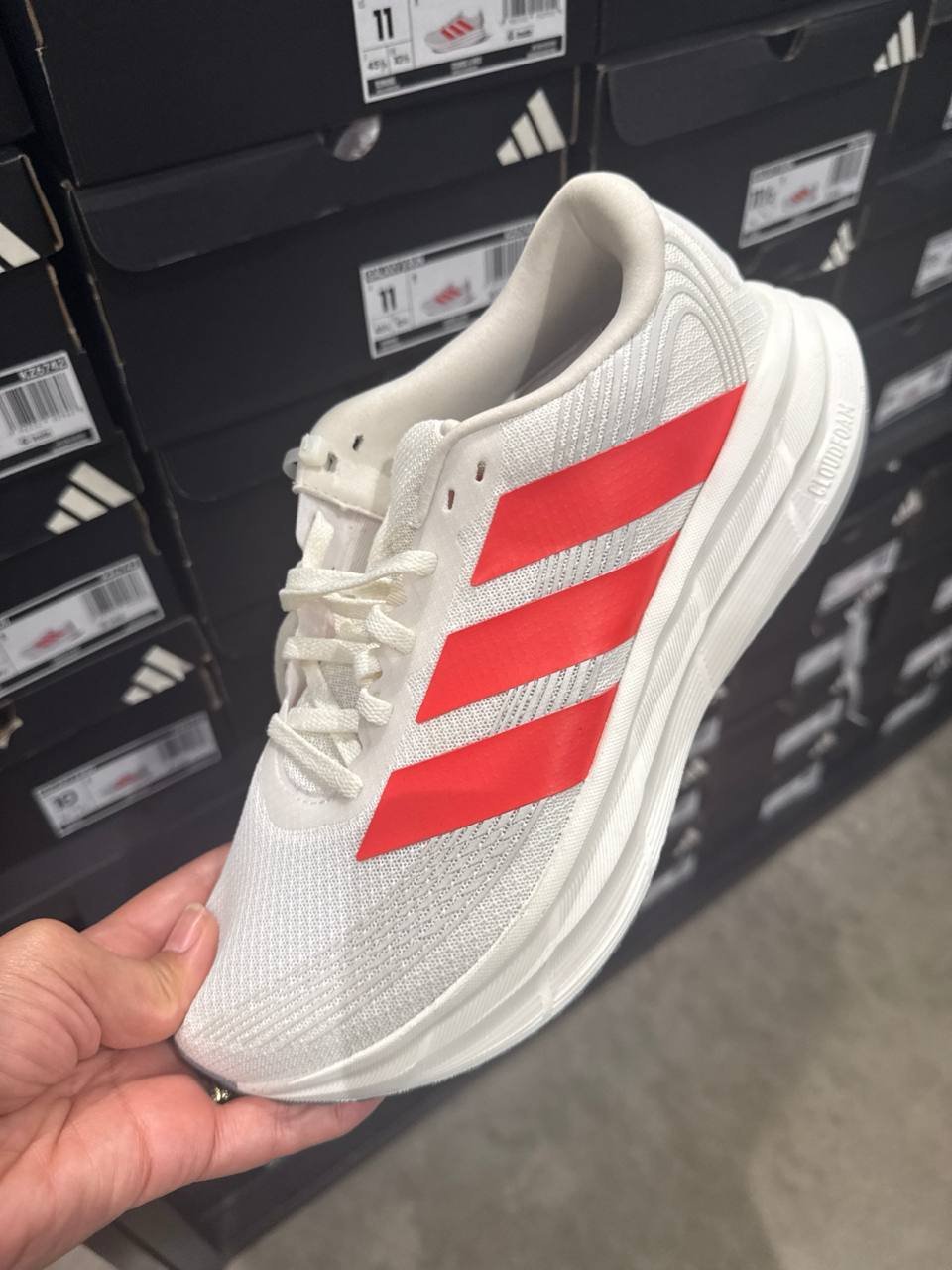 Tenis  número Americano
